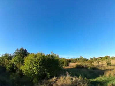Agricultural land 13,861 m², Vidulini - near the sea - 3