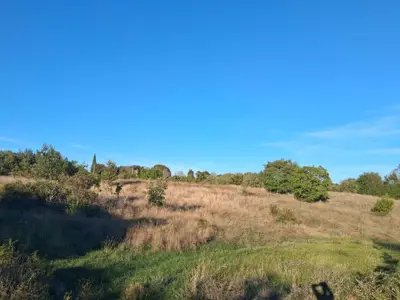 Landwirtschaftsfläche 13.861 m², Vidulini - Meeresnähe