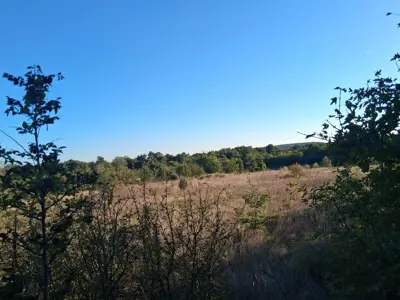 Agricultural land 13,861 m², Vidulini - near the sea - 7