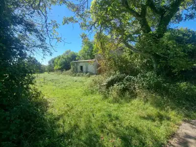 House 115 m², Svetvinčenat - old house with courtyard 979 m² - 11