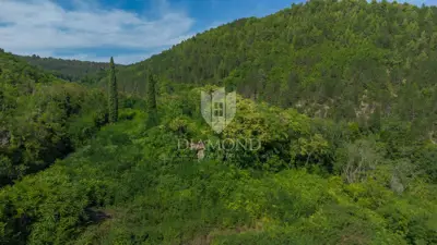 Baugrundstück 6.430 m², Oprtalj bei Parenzana - 12