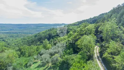 Baugrundstück 6.430 m², Oprtalj bei Parenzana - 9