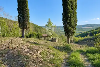 Baugrundstück 6.430 m², Oprtalj bei Parenzana - 7