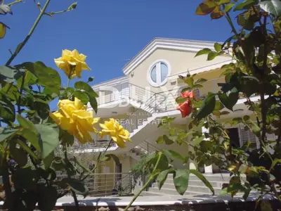 ZADAR, BRODARICA - Villa mit 6 Wohnungen und Geschäftsraum - 5