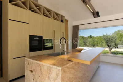 Istra, luksuzna novoizgrađena vila s bazenom, parcela 5.764 m² - 6