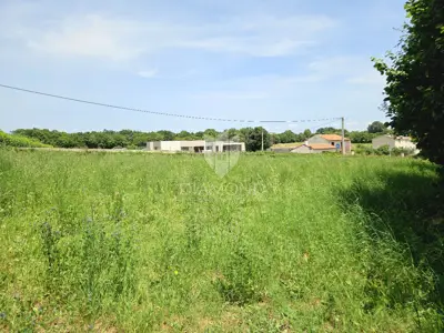 Baugrundstück 1.311 m², Poreč - ruhiger Ort - 3