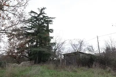 Building plot 730 m², Rovinj - infrastructure and peace - 6