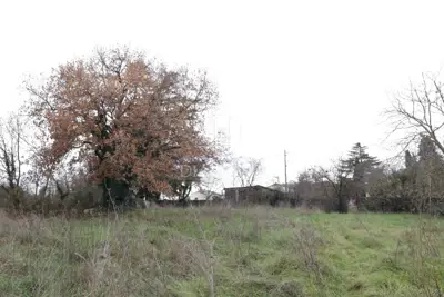 Building plot 730 m², Rovinj - infrastructure and peace - 5