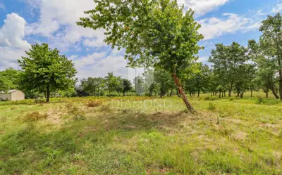 Building plot 3,366 m², Poreč - investment for holidays - 5