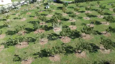 Building plot 1,000 m², Marčana - quiet location - 4