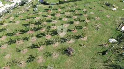 Building plot 1,000 m², Marčana - quiet location - 5