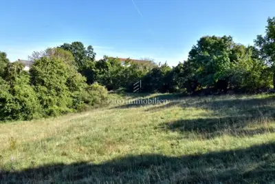 Land 9,010 m², Štokovci near Svetvinčenat - quiet location - 3