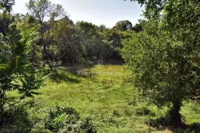 Land 9,010 m², Štokovci near Svetvinčenat - quiet location - 6