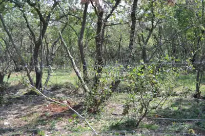 Attractive agricultural land - 7