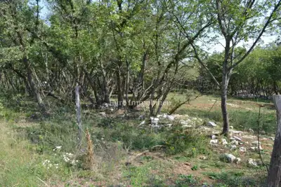 Attractive agricultural land - 6