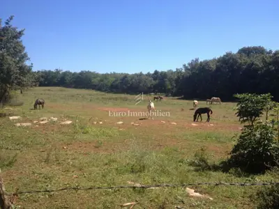Attractive agricultural land