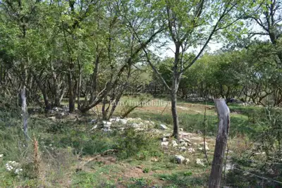 Attractive agricultural land - 4