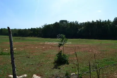Attractive agricultural land - 11