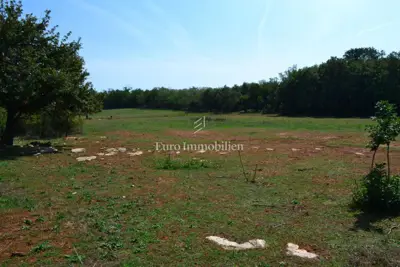 Attractive agricultural land - 8
