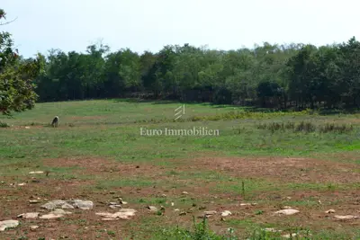 Attractive agricultural land - 9