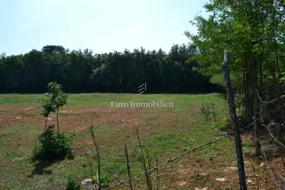 Attractive agricultural land - 10