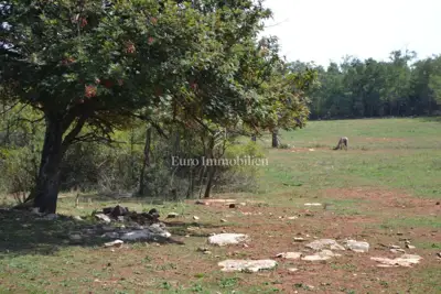 Attractive agricultural land - 3