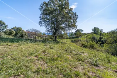 Zemljište 5 879 m², Kršan - građevinski dio i privatnost - 6