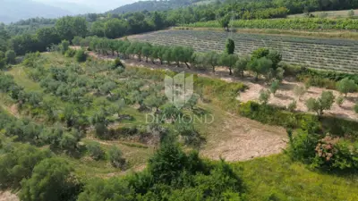 Building and agricultural land, Pićan 12,337 m², view of the hills - 7