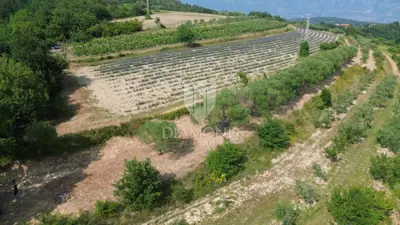 Building and agricultural land, Pićan 12,337 m², view of the hills - 3