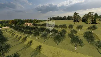 Building and agricultural land, Pićan 12,337 m², view of the hills - 13