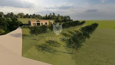 Building and agricultural land, Pićan 12,337 m², view of the hills - 14
