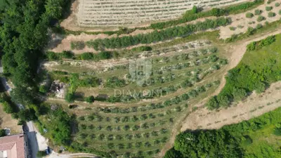 Building and agricultural land, Pićan 12,337 m², view of the hills - 6