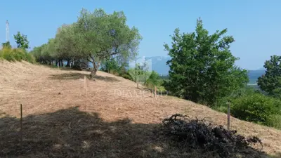 Building and agricultural land, Pićan 12,337 m², view of the hills - 12