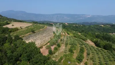 Building and agricultural land, Pićan 12,337 m², view of the hills