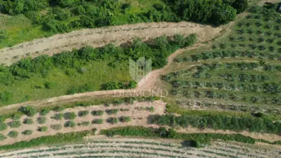Building and agricultural land, Pićan 12,337 m², view of the hills - 5