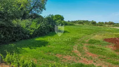 Građevinsko zemljište 619 m², Brtonigla - mirno naselje - 3