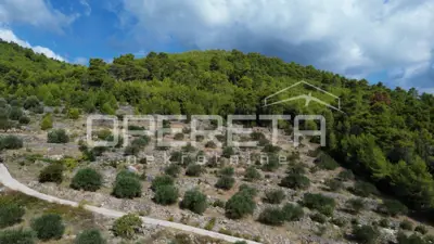 Land, Blato na Korčuli - olives and sea view - 11