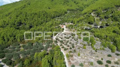 Land, Blato na Korčuli - olives and sea view - 14