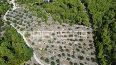 Land, Blato na Korčuli - olives and sea view - 15
