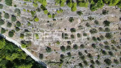 Land, Blato na Korčuli - olives and sea view - 12