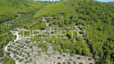 Land, Blato na Korčuli - olives and sea view - 18