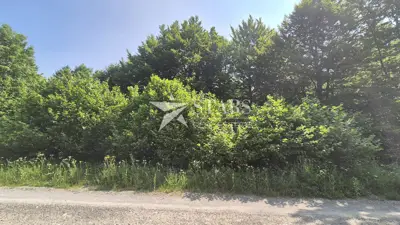 Bauland 2.564 m², Polane - Delnice, ruhige Lage - 4