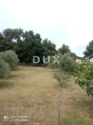 Haus 54 m², Loborika - ebenerdiges Haus mit überdachter Terrasse - 2
