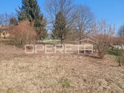 Ulica trešanja, Sveti Ivan Zelina-okolica, 5.000,00 m², 59.000,00 EUR