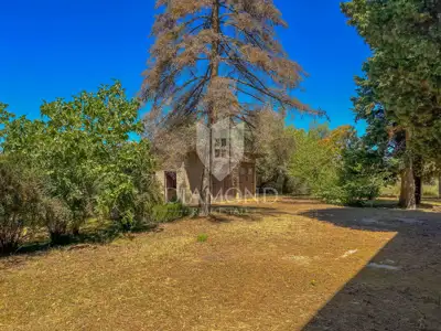 Haus zum Kauf in Novigrad, 470,2 m² - 5