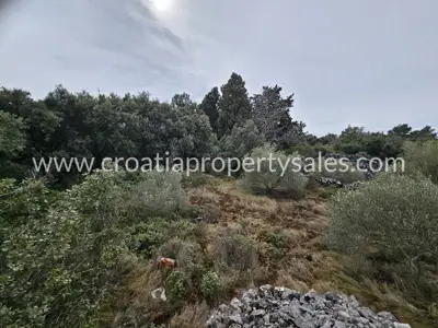 Landwirtschaftsfläche 30.200 m², Insel Hvar - nahe Gdinja - 3