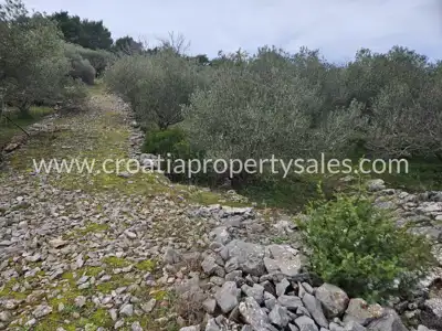 Landwirtschaftsfläche 30.200 m², Insel Hvar - nahe Gdinja - 2