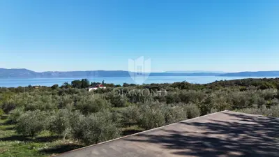 Maslinik 6.138 m², Drenje, Raša - panoramski pogled na more - 7