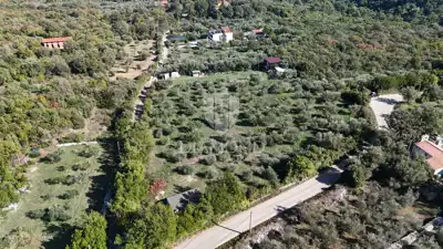 Maslinik 6.138 m², Drenje, Raša - panoramski pogled na more - 10