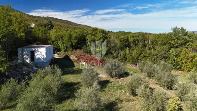 Maslinik 6.138 m², Drenje, Raša - panoramski pogled na more - 8